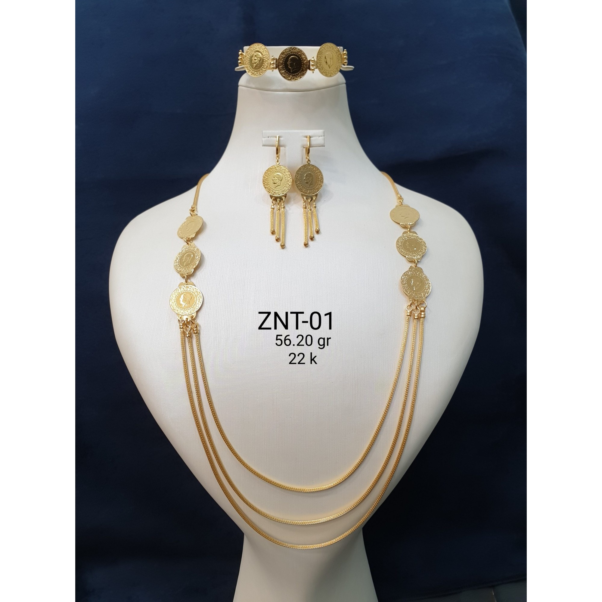 ZNT-01