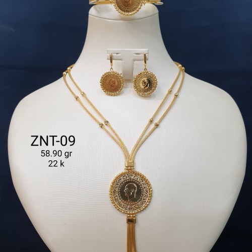 ZNT-09